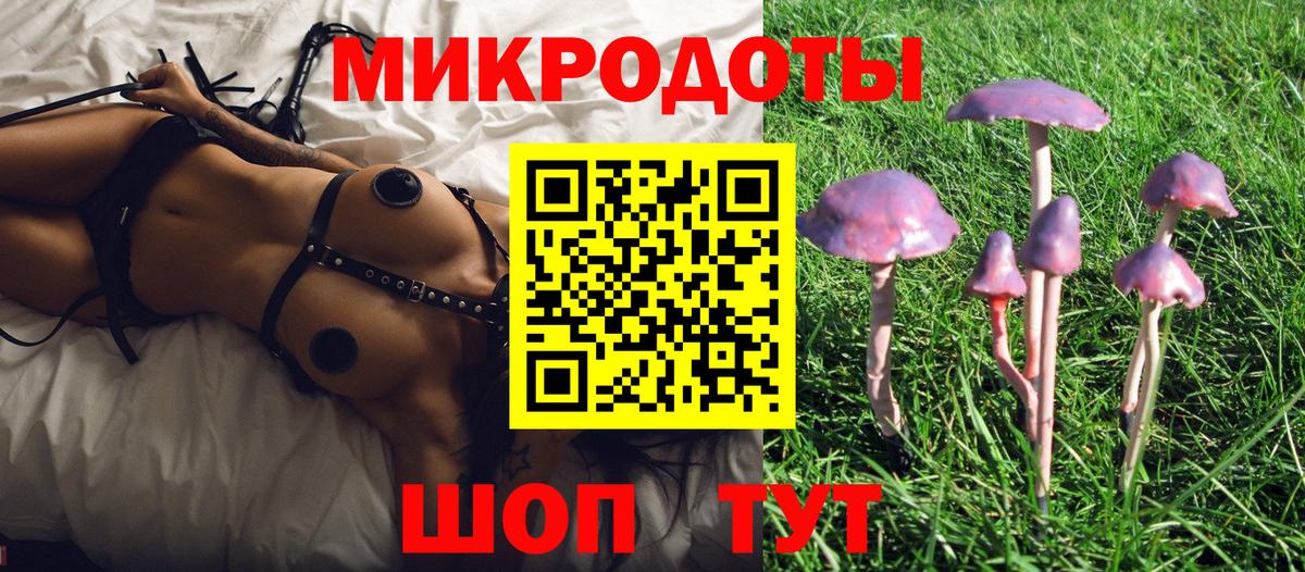 Брянск  Галлюциногенные грибы мицелий  Псилоцибиновые грибы мицелий  Вход с VPN 